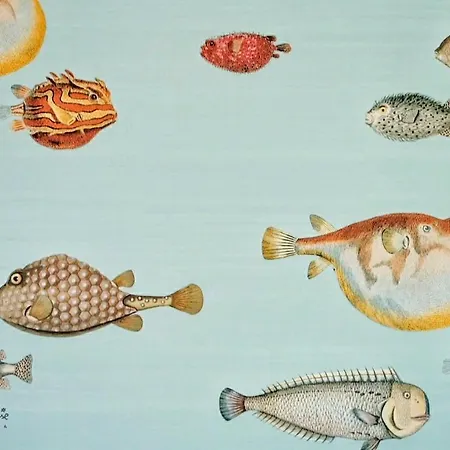 The By The House Bed & Breakfast 4*